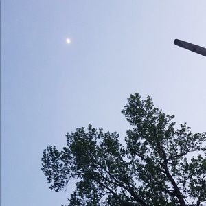 Meet your Posher, Sophia